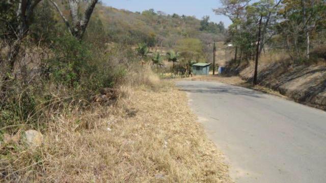 Stand for Sale in Glen Lorne