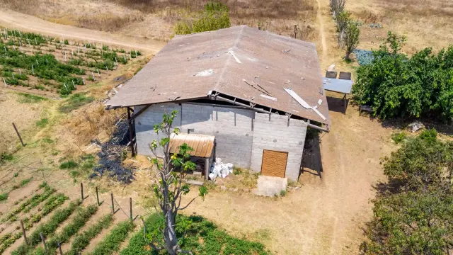Farm for Sale
