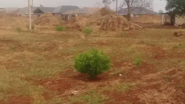 Residential Stand for Sale