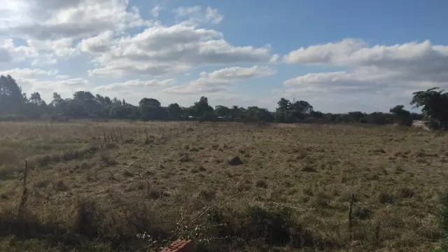 Farm for Sale