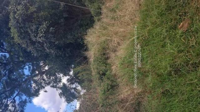 Stand for Sale in Bindura
