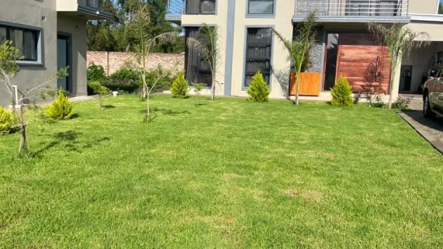 Flat/Apartment to Rent