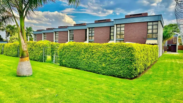 Townhouse/Complex/Cluster to Rent in Strathaven