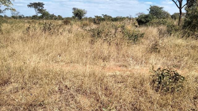 Stand for Sale in Hertifordshire
