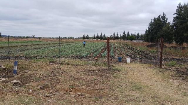 Stand for Sale in Gweru East