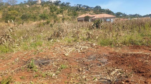 Stand for Sale in Crowhill Views