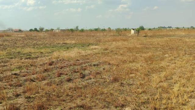 Stand for Sale in Norton