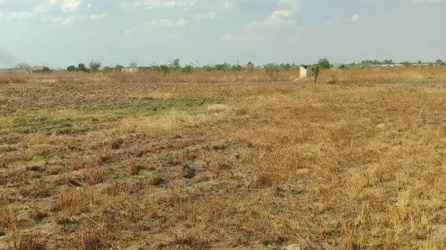 Residential Stand for Sale