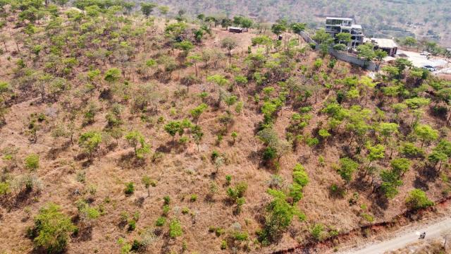 Stand for Sale in Gletwin Park