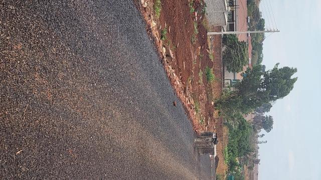 Stand for Sale in Brookeview