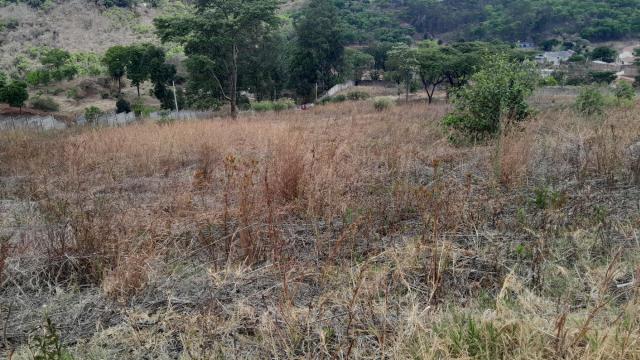 Stand for Sale in Hogerty Hill