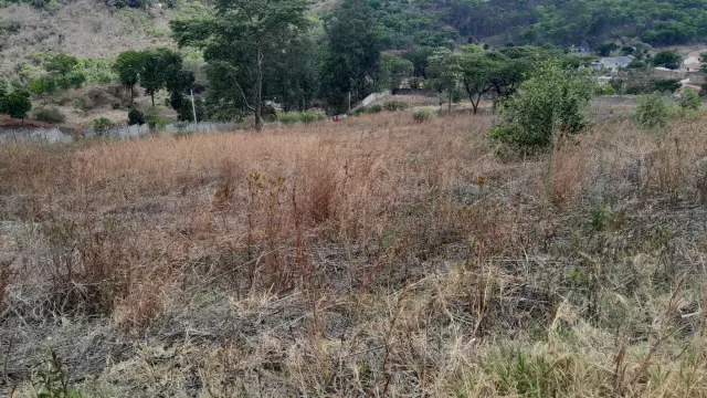 Residential Stand for Sale