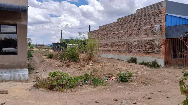 Commercial Stand for Sale