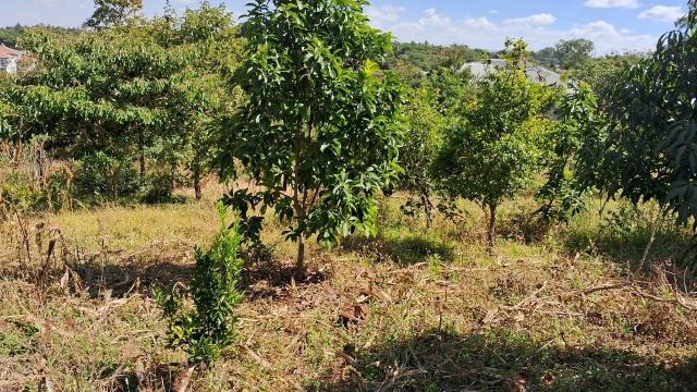 Stand for Sale in Philadelphia