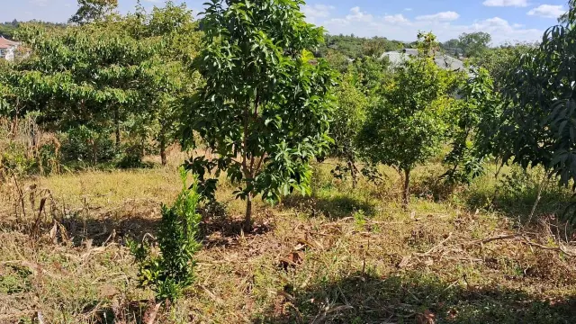 Residential Stand for Sale