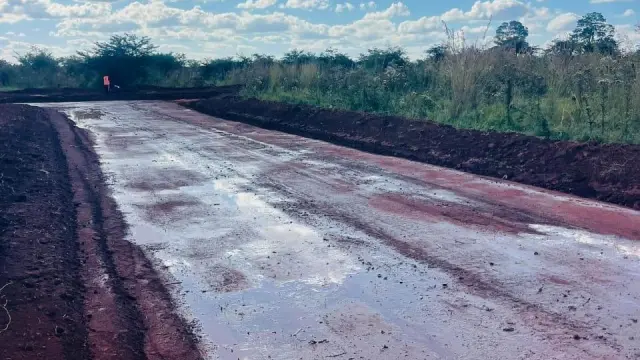 Residential Stand for Sale