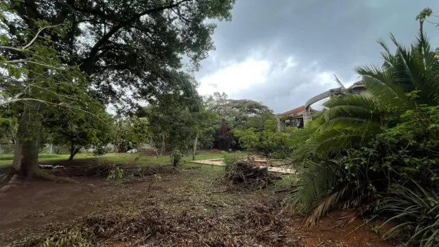 Residential Stand for Sale