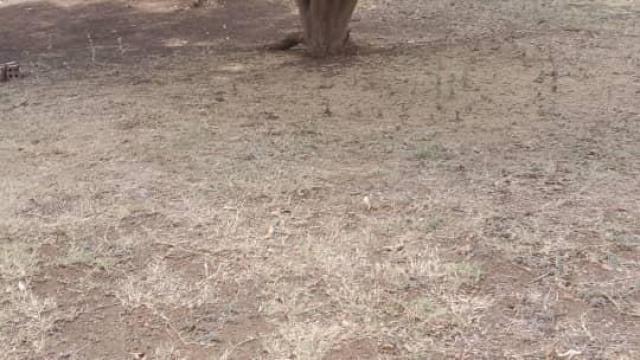 Stand for Sale in Mount Pleasant