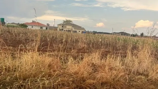 Residential Stand for Sale