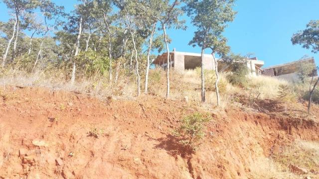 Stand for Sale in Gletwin Park