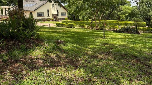 Stand for Sale in Lake Chivero