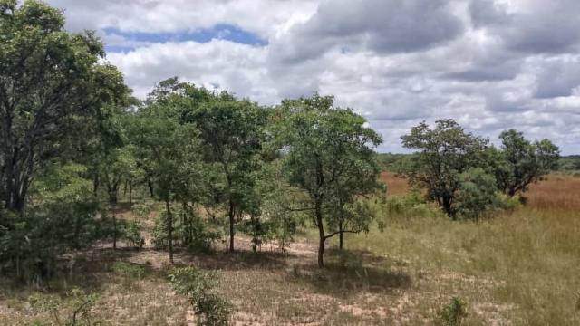 Stand for Sale in Mvuma