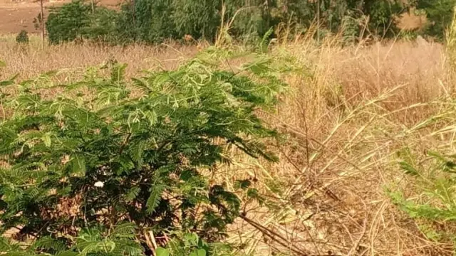 Residential Stand for Sale