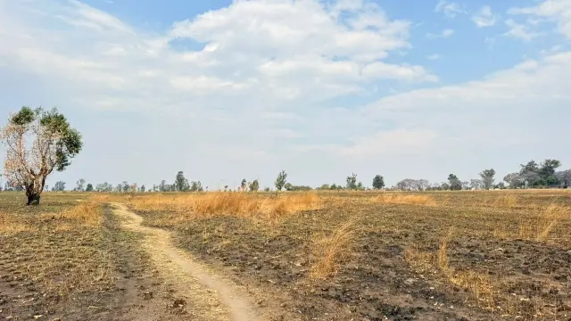 Residential Stand for Sale