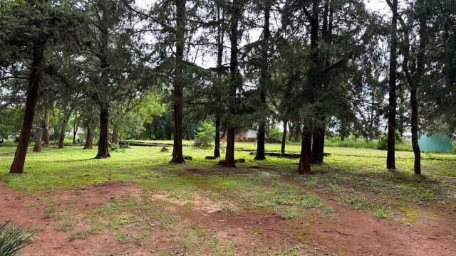 Stand for Sale in Helensvale