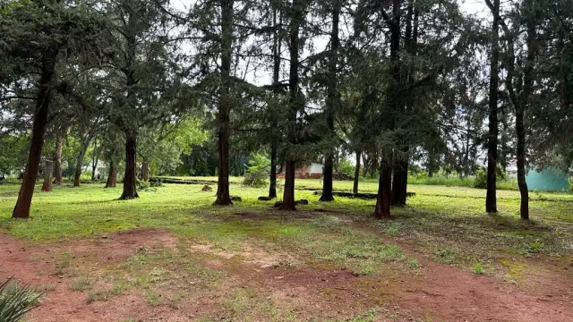 Residential Stand for Sale