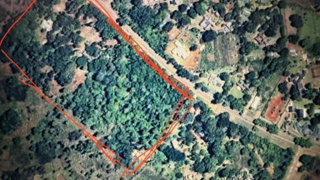 Stand for Sale in Helensvale