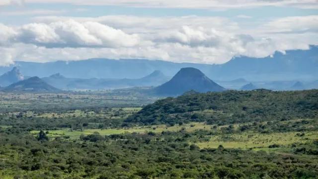 Residential Stand for Sale