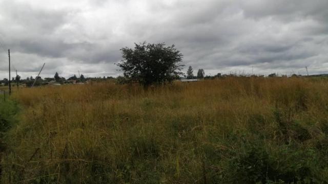 Stand for Sale in Crowhill Views