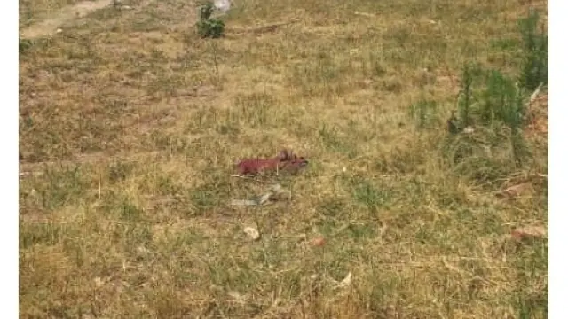 Residential Stand for Sale inMabvazuva Estates