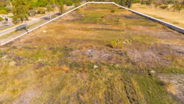 Commercial Stand for Sale