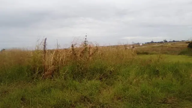 Residential Stand for Sale