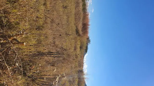 Farm/Plot for Sale inNorthgate Heights