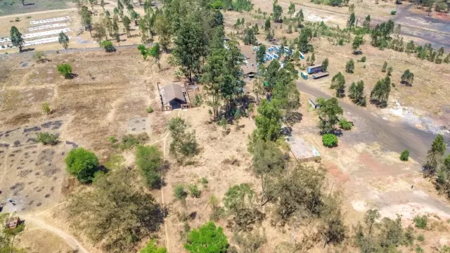 Commercial Stand for Sale inMount Hampden