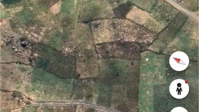 Commercial Stand for Sale