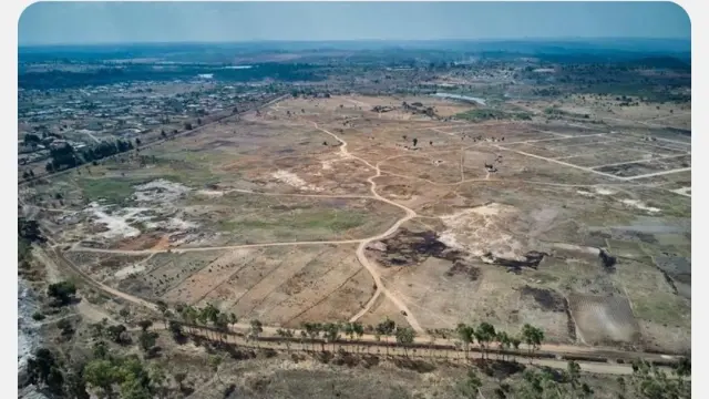 Commercial Stand for Sale