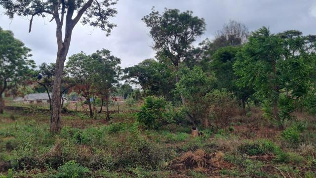 Stand for Sale in Gletwin Park