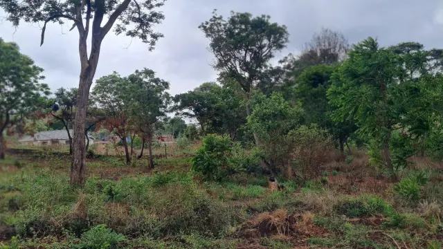 Residential Stand for Sale