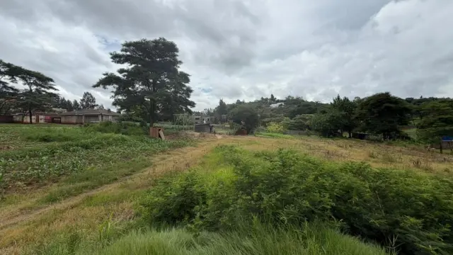 Residential Stand for Sale