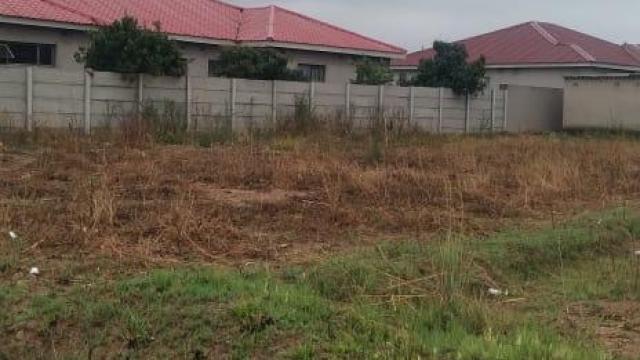 Stand for Sale in Glaudina