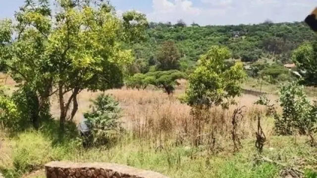 Residential Stand for Sale