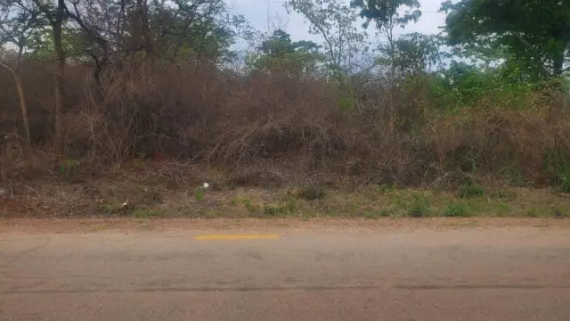 Residential Stand for Sale