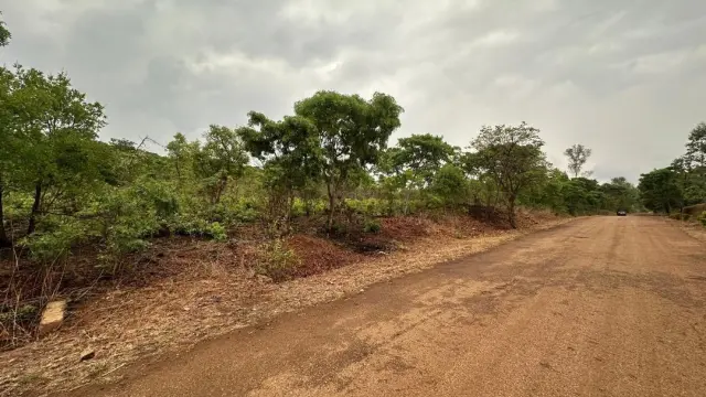 Residential Stand for Sale inArcturus