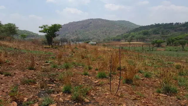 Farm/Plot for Sale inArcturus