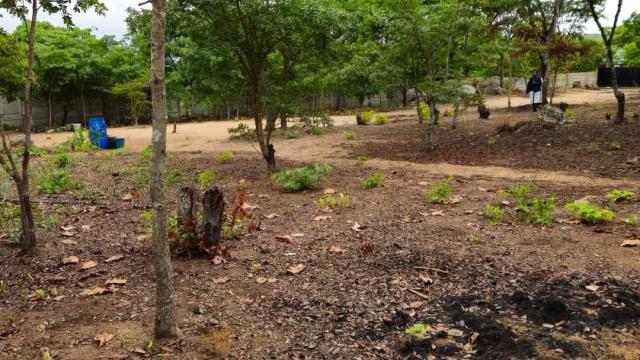 Stand for Sale in Marondera