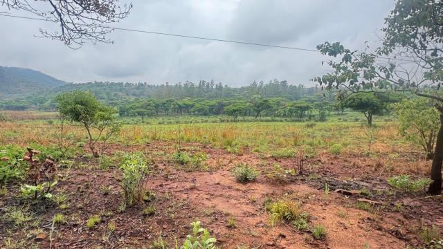 Stand for Sale in Arcturus